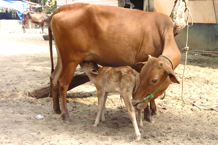 கடுமையான நோய் தீர பரிகாரம்!